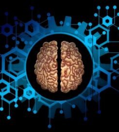 Divine Solutions Academy